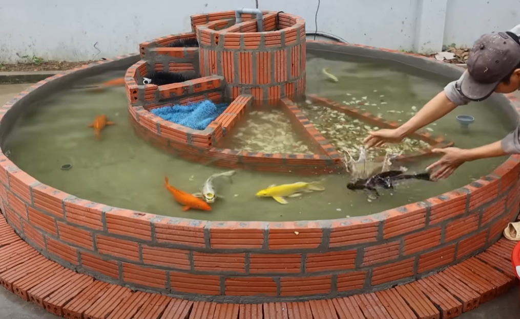 Make a Spiral Fish Tank from Brick and Cement